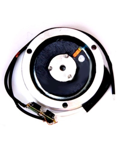 Электромагнит BY1500T Came 119RIY034 в Астрахани Запчасти для шлагбаумов и автоматики Pintop.ru