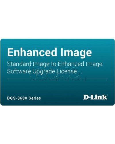 ПО D-Link DGS-3630-28TC-SE-LIC в Астрахани Беспроводное оборудование Pintop.ru