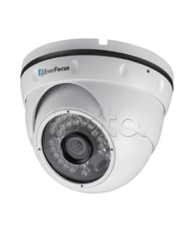 IP-камера видеонаблюдения уличная купольная EverFocus EBN-268 в Астрахани IP-камеры Pintop.ru