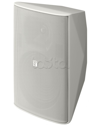 Громкоговоритель 2 полосный TOA F-2000 WT в Астрахани Системы оповещения и трансляции TOA Pintop.ru